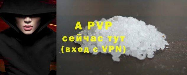 стафф Волоколамск