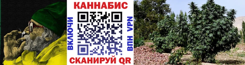 Конопля SATIVA & INDICA Благодарный